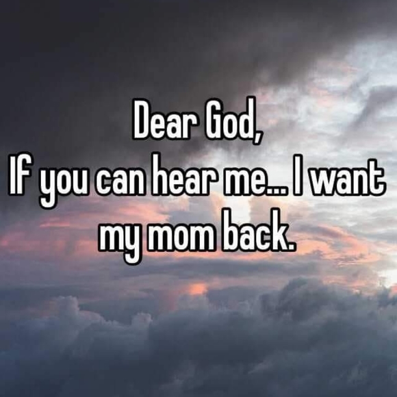 Meet your Posher, Sharona - Picture 7 of 13